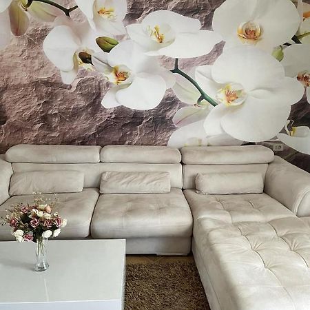 Sunkissed Centre Apartment Влёра Экстерьер фото