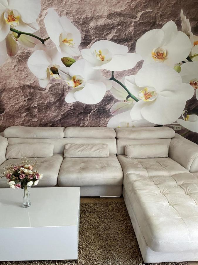 Sunkissed Centre Apartment Влёра Экстерьер фото